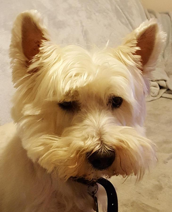Tanleys B&B Grantown-on-Spey エクステリア 写真