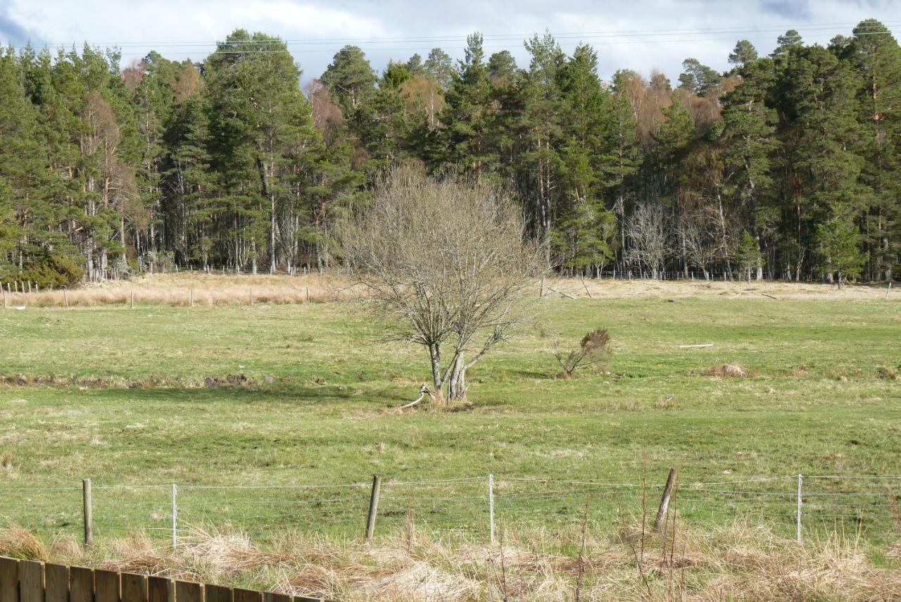 Tanleys B&B Grantown-on-Spey エクステリア 写真